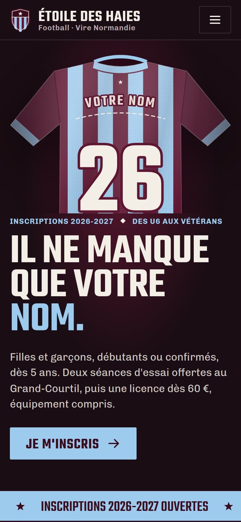 Page d'accueil du site proposé, sur téléphone